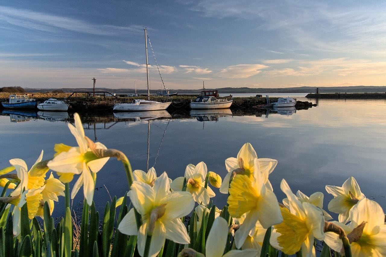 Landscape of Fife, Scotland, where Fife Council's Active Communities team uses SROI to translate physical activity and wellbeing programme outcomes into evidence-based monetary values