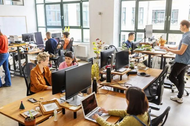 People working at desks in an open-plan office, representing employment and skills activity in the workplace.